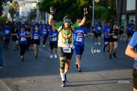 tortugas @tar.mx