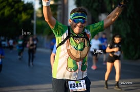 tortugas @tar.mx