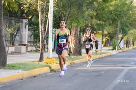 halcones @tar.mx
