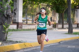 veloz @tar.mx