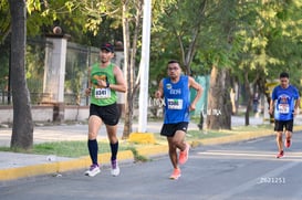 tortugas @tar.mx