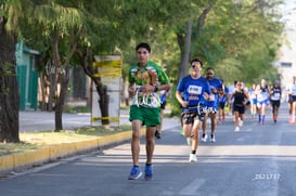 tortugas @tar.mx