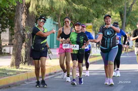 halcones @tar.mx