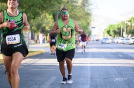 tortugas @tar.mx