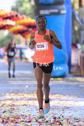10K Simsa 2025 @tar.mx