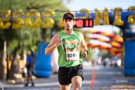 tortugas @tar.mx