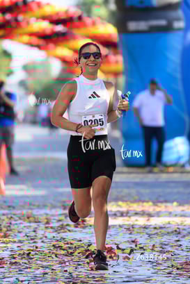 Pamela Salgado, ducks @tar.mx