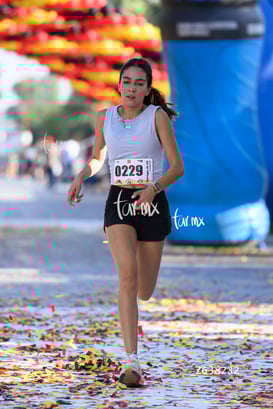 10K Simsa 2025 @tar.mx