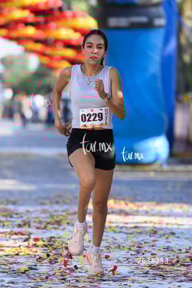 10K Simsa 2025 @tar.mx