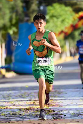 tortugas @tar.mx