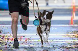 10K Simsa 2025 @tar.mx