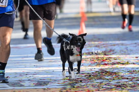10K Simsa 2025 @tar.mx