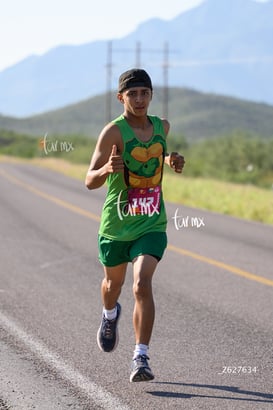 tortugas @tar.mx