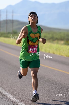 tortugas @tar.mx