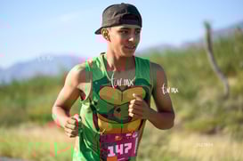 tortugas @tar.mx