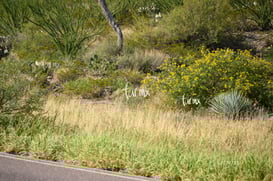 25K Mapimí Durango @tar.mx