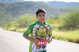 tortugas @tar.mx