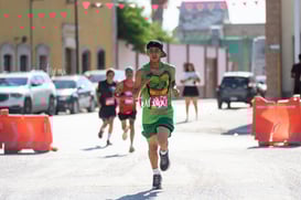 tortugas @tar.mx