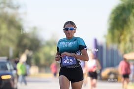 Halcones @tar.mx