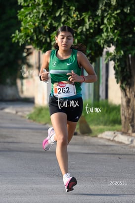 veloz @tar.mx