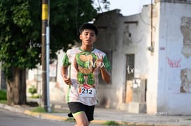 tortugas @tar.mx