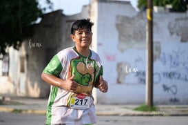 tortugas @tar.mx