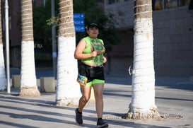 tortugas @tar.mx