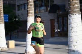 tortugas @tar.mx