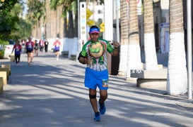 tortugas @tar.mx
