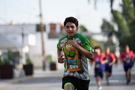 tortugas @tar.mx
