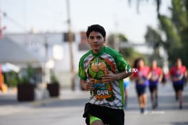 tortugas @tar.mx