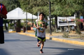 tortugas @tar.mx