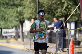 tortugas @tar.mx