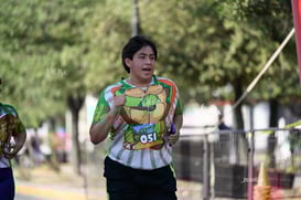 tortugas @tar.mx