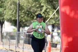 tortugas @tar.mx