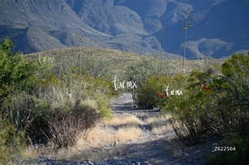 Cañón Jimulco, trail del sotol @tar.mx