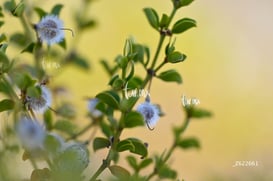 Cañón Jimulco, trail del sotol @tar.mx