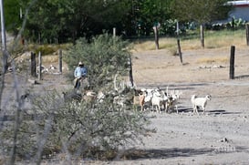 Cañón Jimulco, trail del sotol @tar.mx