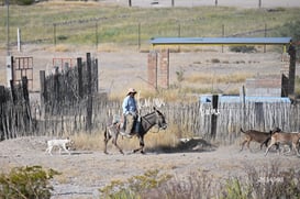 Cañón Jimulco, trail del sotol @tar.mx