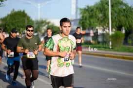 tortugas @tar.mx