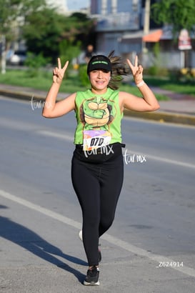 tortugas @tar.mx