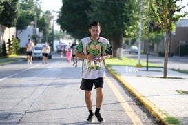 tortugas @tar.mx