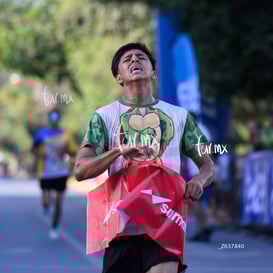 Campeón 4K, tortugas @tar.mx