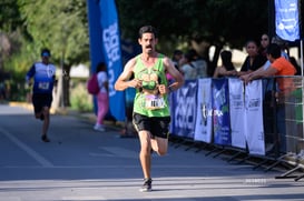 tortugas @tar.mx