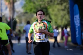 tortugas @tar.mx