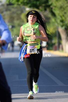 tortugas @tar.mx