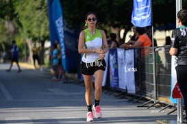 halcones @tar.mx