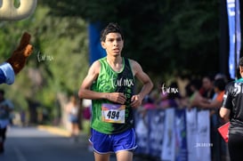 halcones @tar.mx