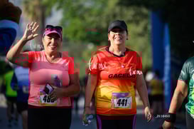 gacelas @tar.mx