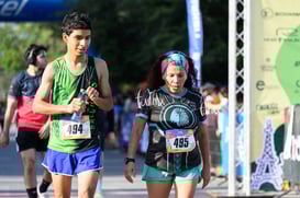halcones @tar.mx